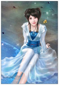 八阿哥重生雍正皇朝